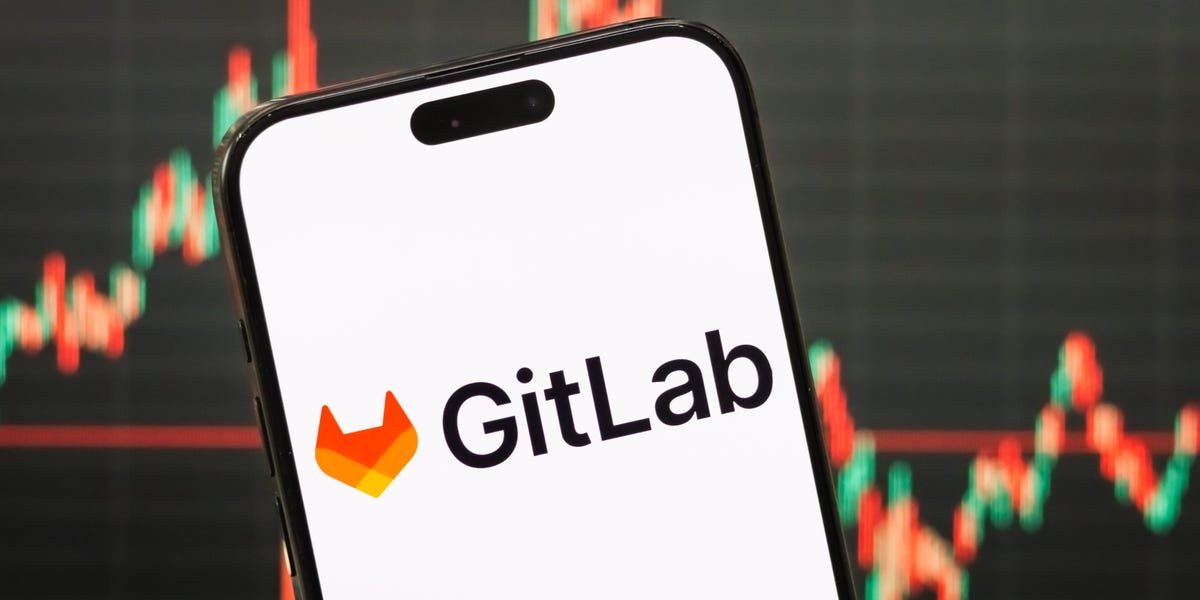 Vibe Coding Will Improve the Variety of Engineers: GitLab’s CEO