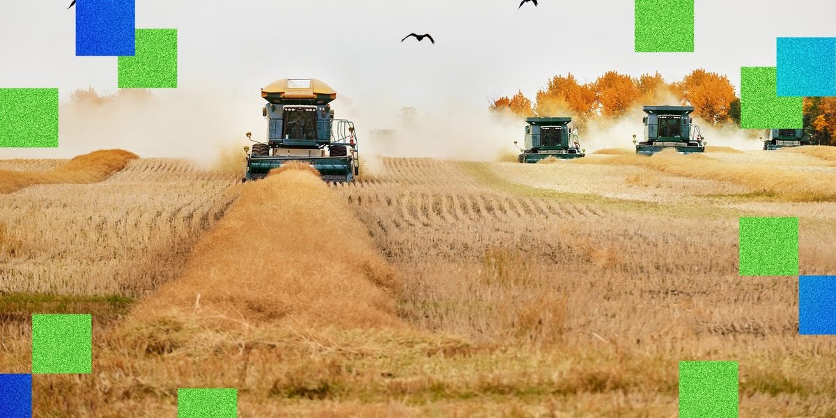 How Land O’Lakes, PepsiCo Use Predictive AI for Meals Manufacturing