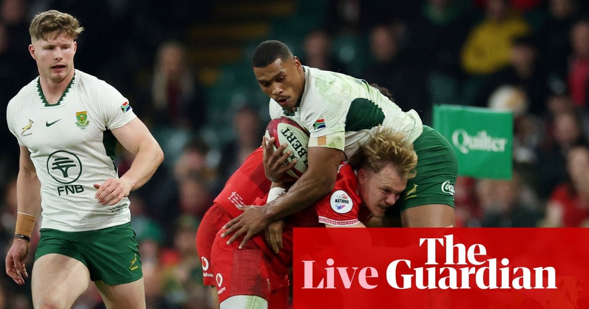 Wales v South Africa: Autumn Nations Sequence rugby union – dwell | Autumn Nations Sequence