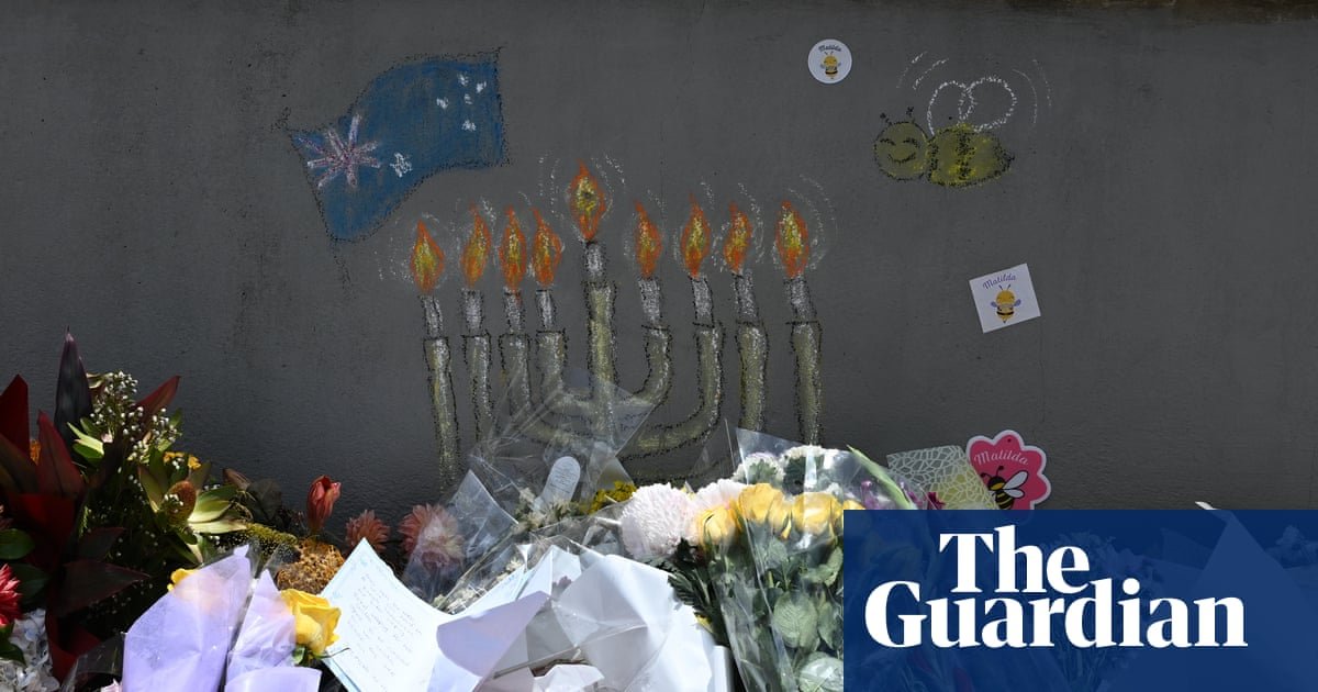 ‘We have to know’: Bondi victims’ households demand federal royal fee from PM | Bondi seaside terror assault
