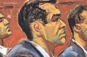 Alexander Brothers Witness Stated Hamptons Partygoers Watched an Assault