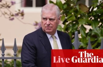 Andrew ‘impolite, boastful and entitled man’, says minister as authorities backs launch of commerce envoy paperwork – UK politics stay | Politics