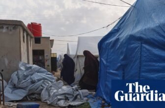 As circumstances in Roj camp deteriorate, Australia urged to simply accept residents trapped in Syria | Australian immigration and asylum