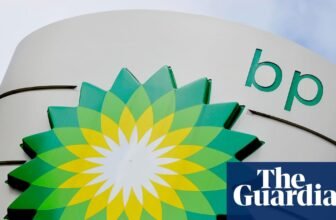 BP halts share buy-backs as annual income slide | BP