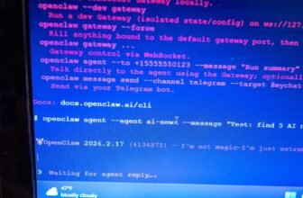 OpenClaw Creator: ‘Vibe Coding Is a Slur’