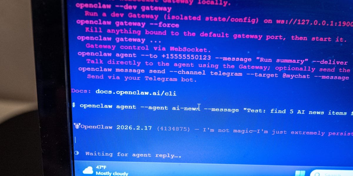 OpenClaw Creator: ‘Vibe Coding Is a Slur’