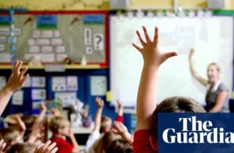 Faculties in England to get funds for kids with particular wants as a part of Ship overhaul | Particular instructional wants