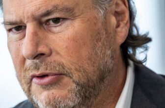 Software program Giants Are About to Make the Case for Why AI Will not Kill Them