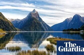 Rich People high ‘golden visa’ surge in New Zealand and functions from China double | New Zealand