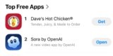 OpenAI Has an Sudden Challenger: Dave’s Scorching Hen