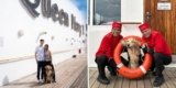 Girl Moved Her Canine From NYC to London on Cunard Queen Mary 2 Cruise